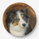 Search for border collie plates Birthday