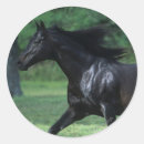 Search for thoroughbred stickers Running