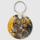Search for deer key rings Wildlife