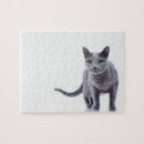 Search for russian blue cat puzzles Cute