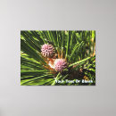 Search for pine tree canvas prints Green