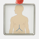 Search for transplant christmas tree decorations Small business
