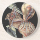 Search for creature barware Sea life
