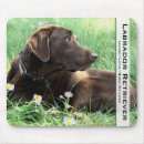 Search for handsome mouse mats Portrait