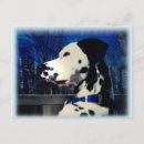 Search for shelter pets postcards Puppy