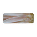 Search for breast cancer awareness return address labels Cure