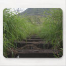 Search for hikers mouse mats Climbing