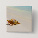 Search for seashell badges Waves