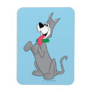 Search for astro magnets Rosie robot