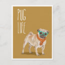 Search for pun postcards Wordplay