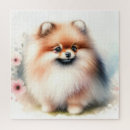 Search for pomeranian puzzles Cute