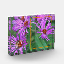 Search for honey bee home decor Flower