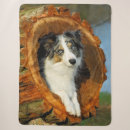 Search for border collie blankets Funny