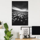 Search for narcissus posters White