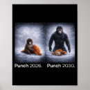 Search for cute monkey posters Funny animal