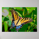 Search for monarch butterfly art Abstract