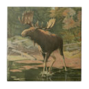 Search for moose tiles Lake