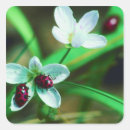 Search for feed the animals stickers Nature