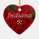 Search for indiana state christmas tree decorations America