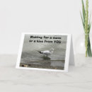 Search for return cards Photography