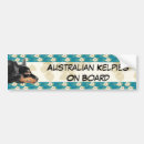 Search for tans bumper stickers Pet