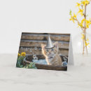 Search for ginger birthday cards Cute