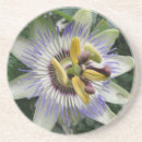 Search for passion coasters Exotic