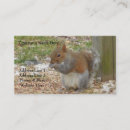 Search for squirrels business cards Nature