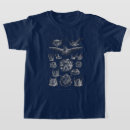 Search for chiroptera Haeckel