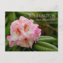 Search for rhododendrons postcards Bloom