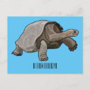 Search for tortoise postcards Galápagos
