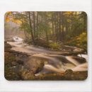 Search for flowing mouse mats Green