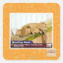 Search for breaking stickers I can has cheezburger
