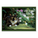 Search for garden benches postcards Sympathy