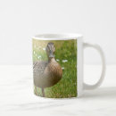 Search for quacked mugs Bird