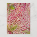 Search for prairie postcards North dakota