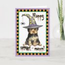 Search for yorkie cards Yorkshire terrier