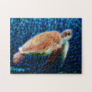 Search for turtle puzzles Honu