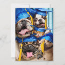 Search for dog and cat invitations Dogs and cats