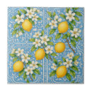 Search for french blue tiles Mediterranean