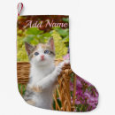 Search for flower christmas stockings Kitten