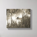 Search for pond turtle art Wildlife