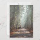 Search for forests cards Tree