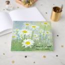 Search for daisy guest books Watercolor