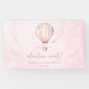 Search for hot air balloon banners Baby shower