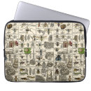Search for bug laptop cases Illustration
