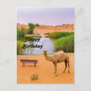 Search for camel birthday cards Wildlife