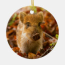 Search for piglet christmas tree decorations Piggy