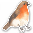 Search for robin birds stickers Garden