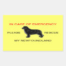 Search for dog safety stickers Emergency